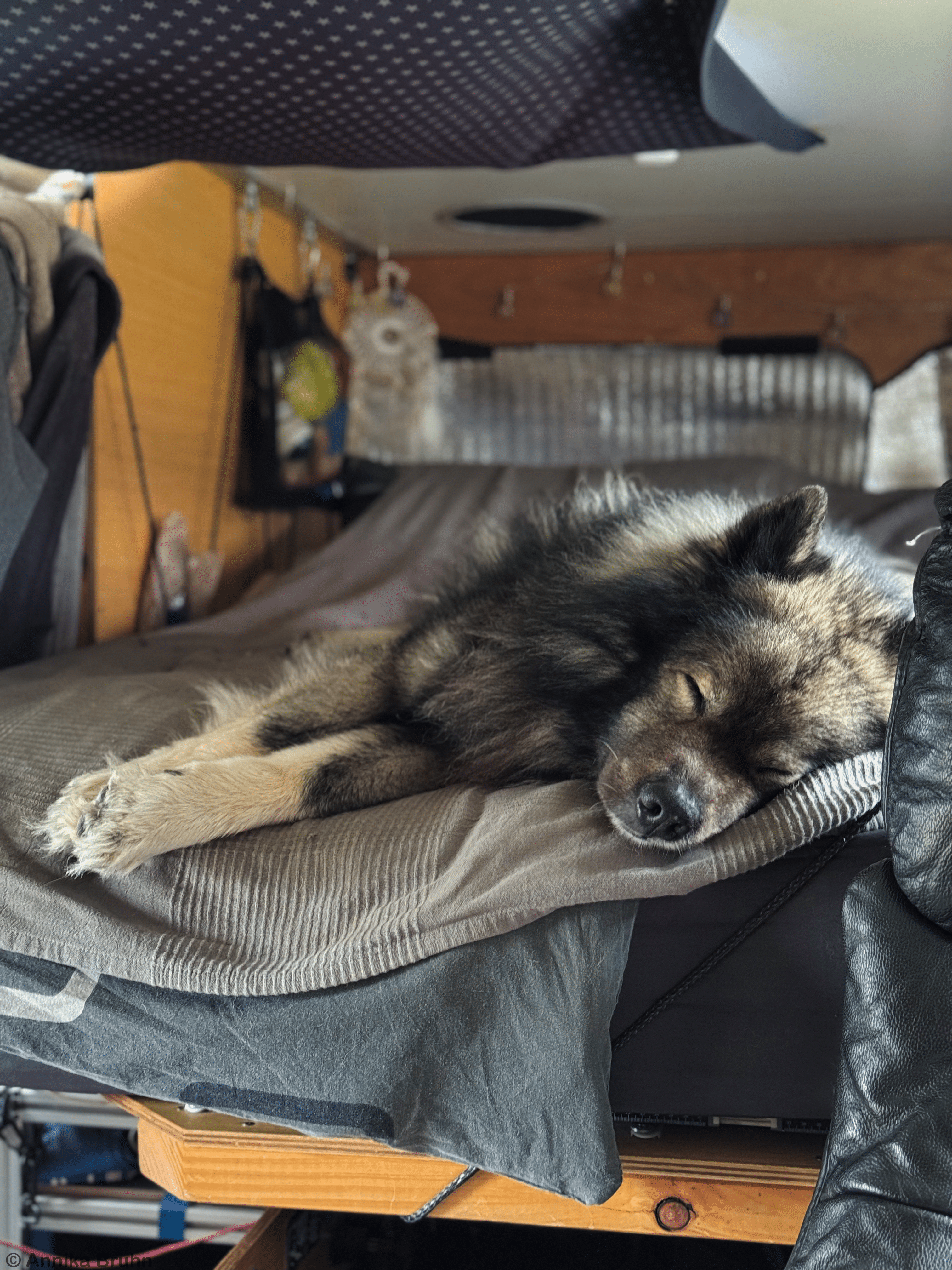 Q die kleine Schlafmütze